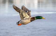 237: BillKirms_2025-355