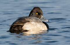 222: BillKirms_2025-358