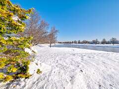 189: BillKirms_2025-366