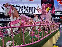 104: CarolAnnManfria_2025-44