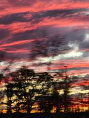 91: CeciliaRomano_2025-14