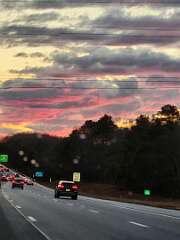 226: CeciliaRomano_2025-15