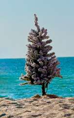 216: DanBrainum_2025-5