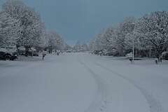 74: DonManfria_2025-308