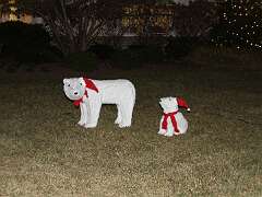 10: DonManfria_2025-336