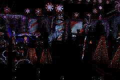 18: DonManfria_2025-351