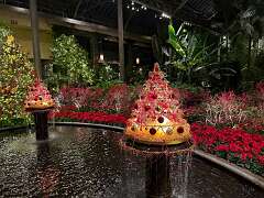 206: ErnieStandard_2025-20