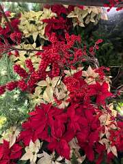 139: ErnieStandard_2025-21