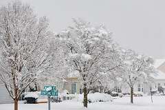 95: MarkShelly_2025-274