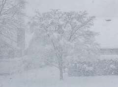 286: MarkShelly_2025-275