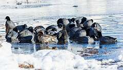 126: MarkShelly_2025-292