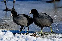 169: MarkShelly_2025-296