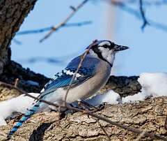 261: MarkShelly_2025-298