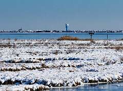 305: MarkShelly_2025-299