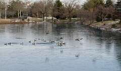 290: MikeGlass_2025-72