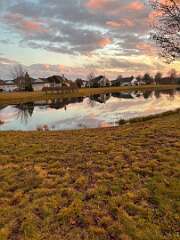 71: MonicaIppolito_2025-4