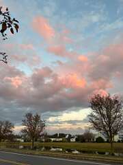 65: MonicaIppolito_2025-5