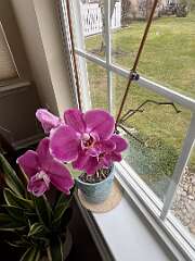 162: TomGeorgio_2025-12