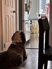 243: TomGeorgio_2025-18