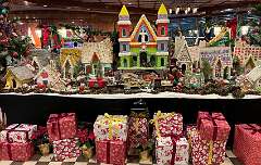 227: Xue-MingBao_2025-73