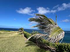 178: Xue-MingBao_2025-80