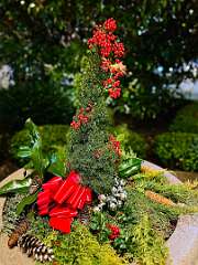 172: Xue-MingBao_2025-93