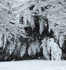 248: jenCurcione_2025-70