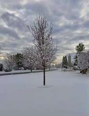 131: jenCurcione_2025-72