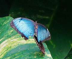 117: wendyTao_2025-65