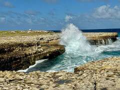 147: wendyTao_2025-97