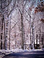 225: AlanToplitz_2026-10