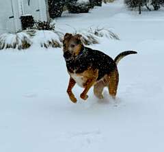 202: AlanToplitz_2026-12