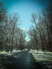 6: AlanToplitz_2026-2