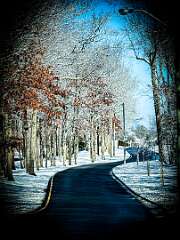 78: AlanToplitz_2026-4