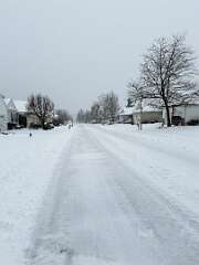 73: AlanToplitz_2026-7