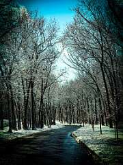 198: AlanToplitz_2026-9