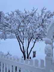 260: BerniceBailine_2025-54