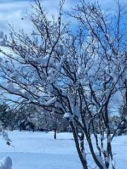 265: BerniceBailine_2025-59