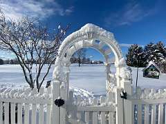 266: BerniceBailine_2025-60