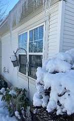 271: BerniceBailine_2025-65