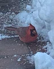 273: BerniceBailine_2025-67