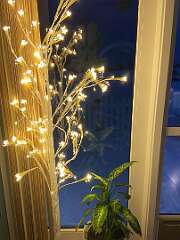 131: BerniceBaline_2026-12