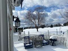 17: BerniceBaline_2026-22