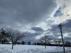 72: BerniceBaline_2026-23