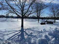 138: BerniceBaline_2026-31