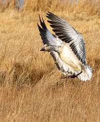 283: BillKirms_2025-348