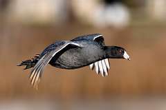 284: BillKirms_2025-349