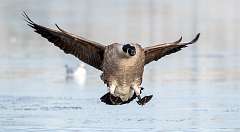 288: BillKirms_2025-353