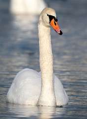 289: BillKirms_2025-354