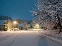 2: BillKirms_2025-361